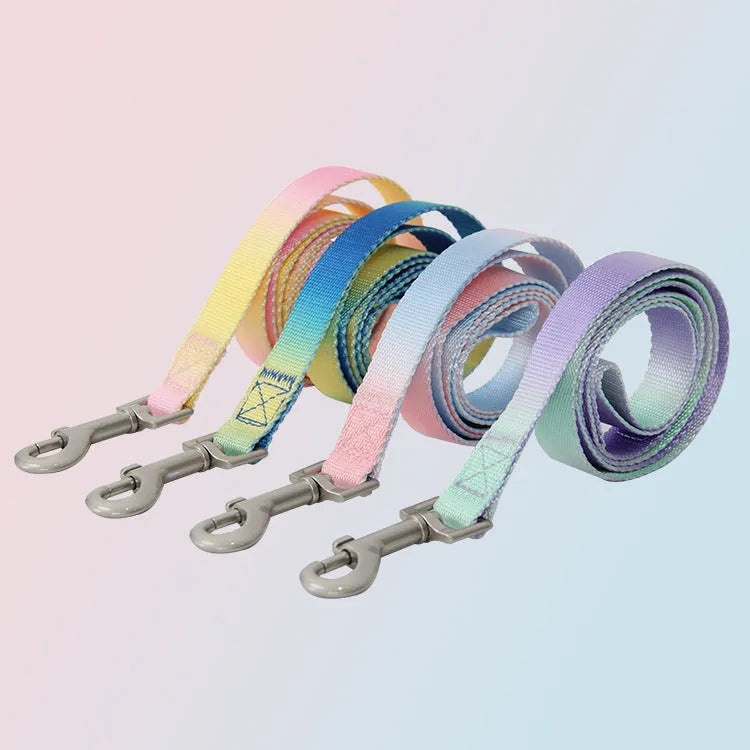 Gradient colour nylon dog leash set showing pink and yellow colour blend on a chest back harness style.