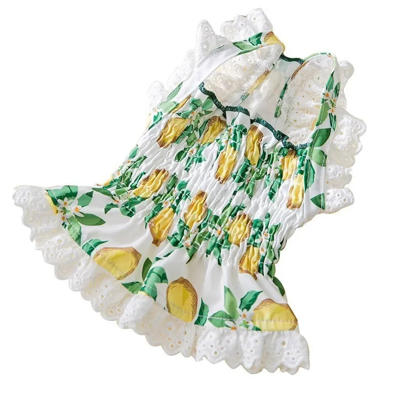 Rock yellow lemon polyester princess style dog dress with thin breathable strap skirt on a small dog.