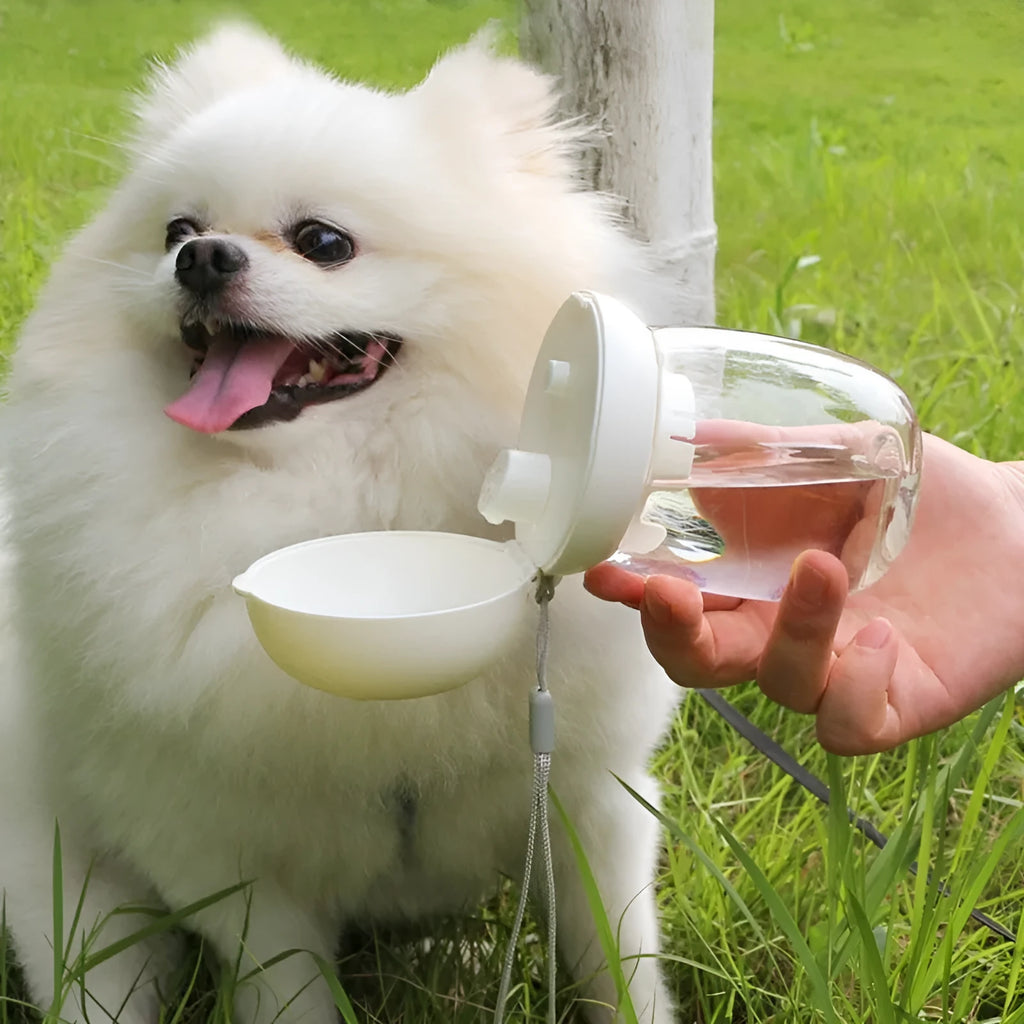 Portable dog water bottle with press-button cup in white on a green background