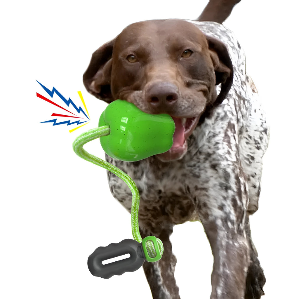 Green or red plastic apple-shaped dog dropping ball toy with hollow treat compartment