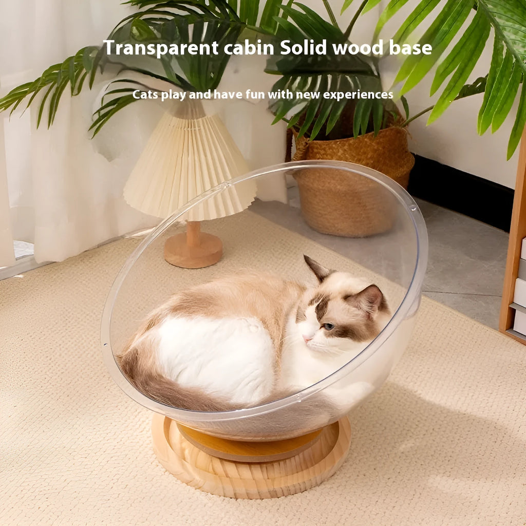 Transparent acrylic cat space capsule bed showing enclosed bathtub-like design.