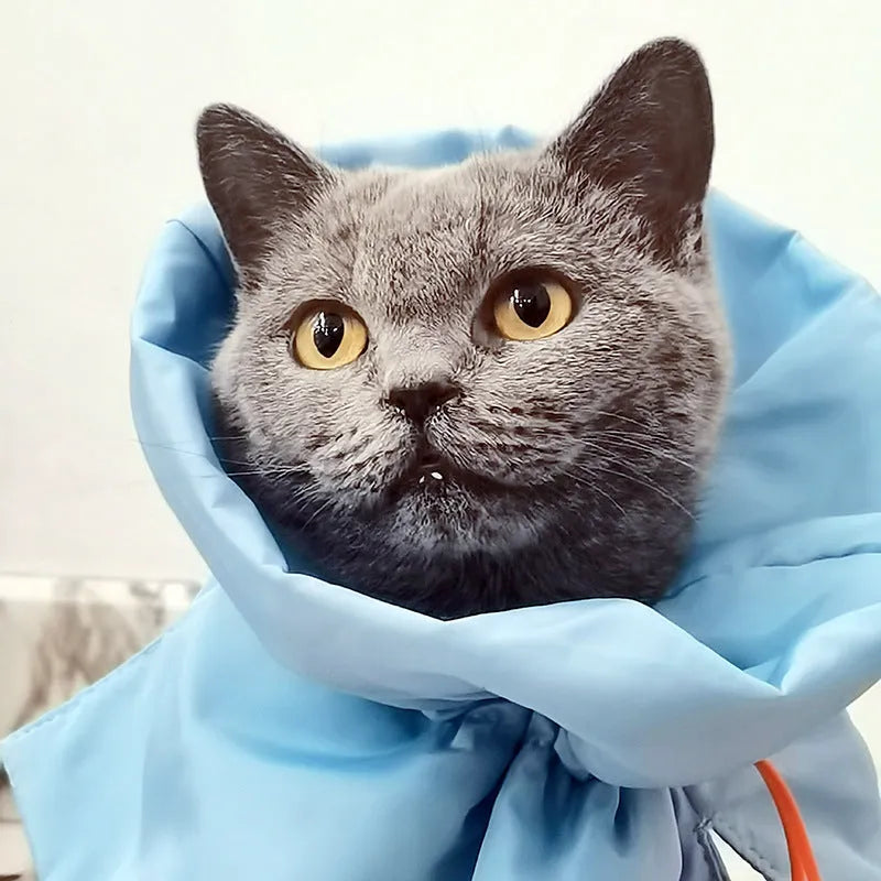Soft adjustable blue Elizabethan recovery collar for cats and small dogs on a white background.