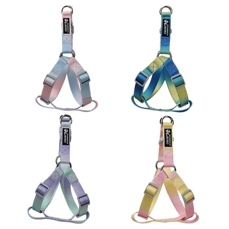 Gradient colour nylon dog leash set showing pink and yellow colour blend on a chest back harness style.