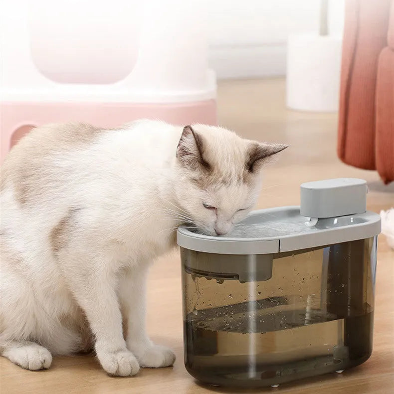 Automatic plastic drinking bowl for cats with infrared sensor, grey colour