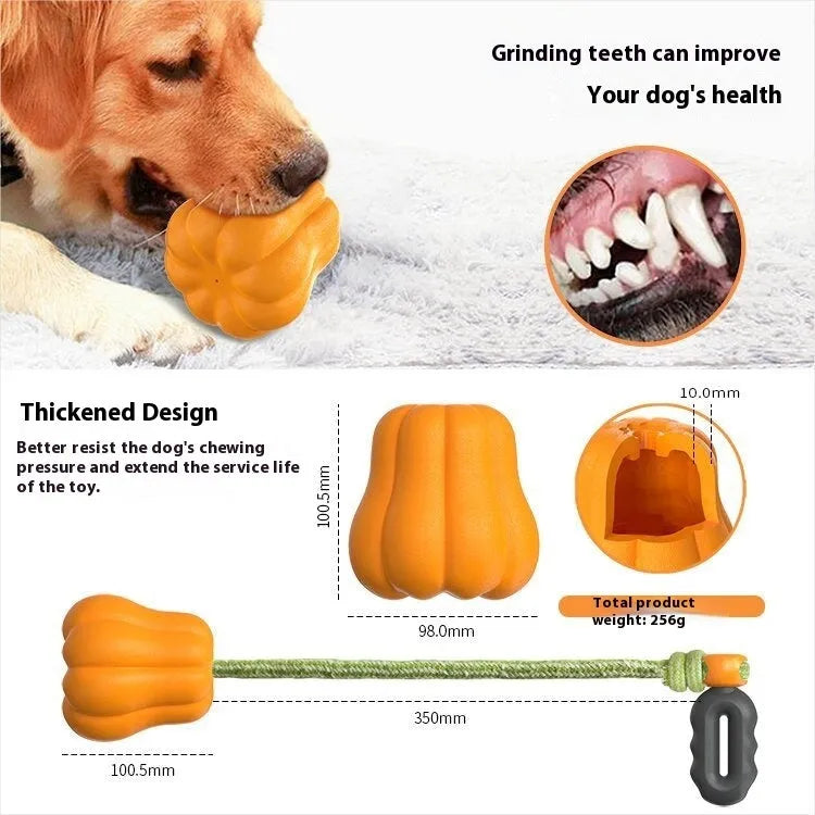 Pumpkin orange plastic dog toy with bite molar texture and an integrated blue tug-of-war rope.