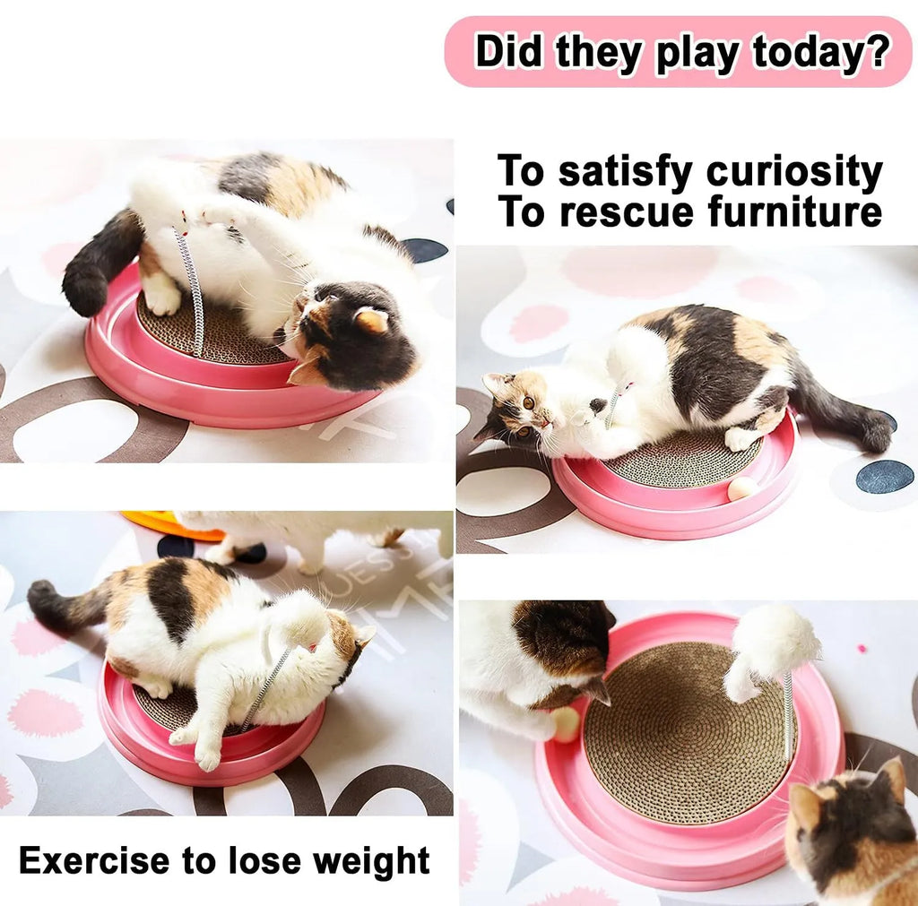 Blue circular cat scratcher with ball track and replaceable centre scratching pad