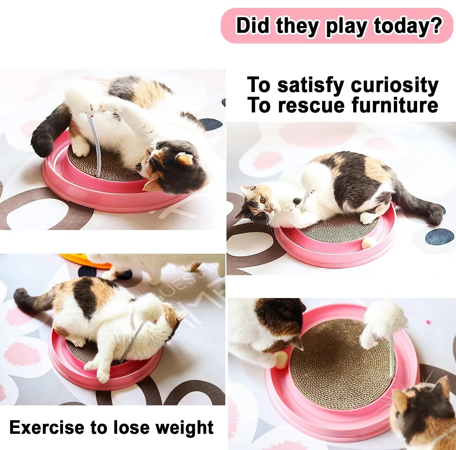 Blue circular cat scratcher with ball track and replaceable centre scratching pad
