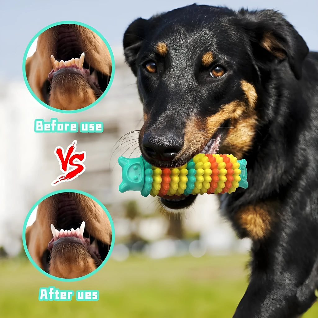 Blue natural rubber caterpillar-shaped dog chew toy measuring 17 cm long