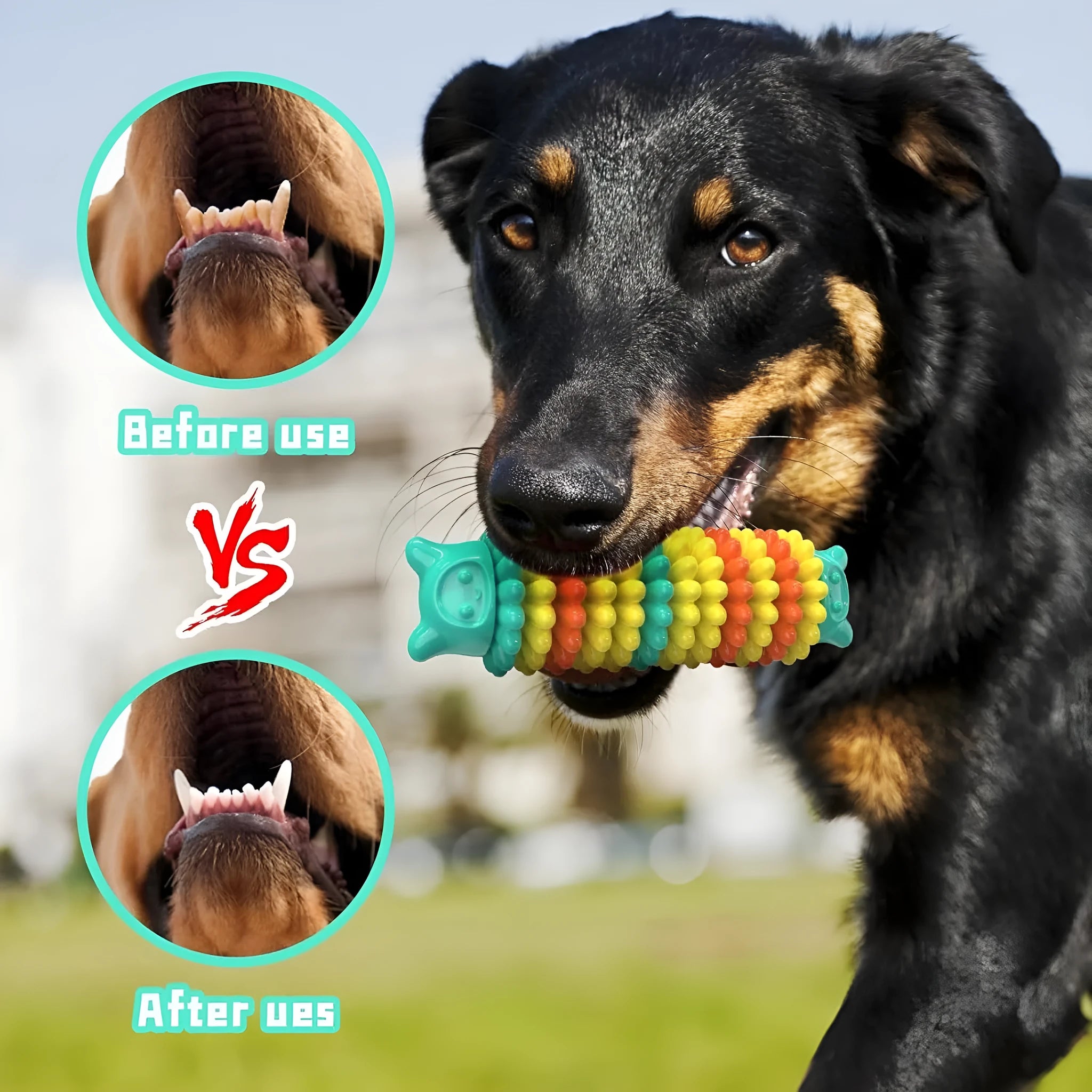 Blue natural rubber caterpillar-shaped dog chew toy measuring 17 cm long