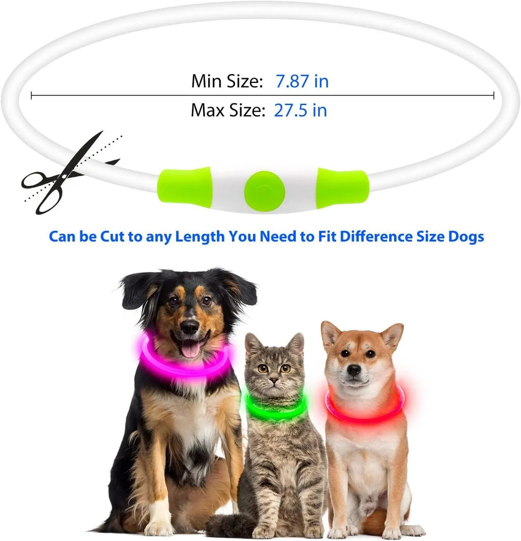 USB rechargeable LED dog safety collar with glowing light and adjustable 70cm TPU construction