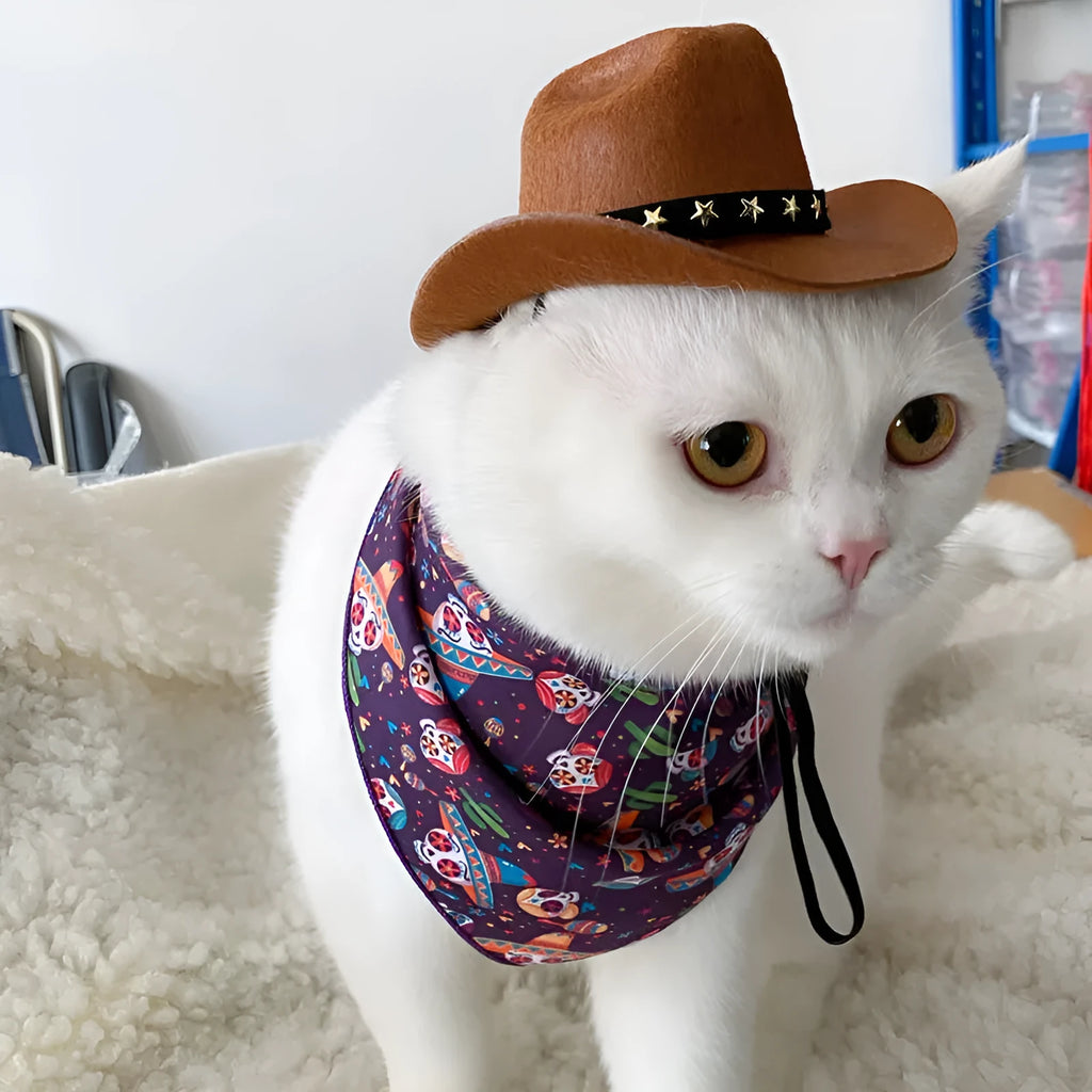 British cat cowboy hat in non-woven fabric with pointed ears, shown in black with ribbon trim