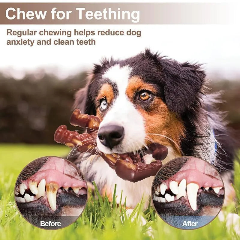 Scarlet red nylon dog chew toy with textured surface for dental cleaning