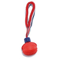 Blue dog ball with rope toy for small dogs, showing textured surface and 29cm length.