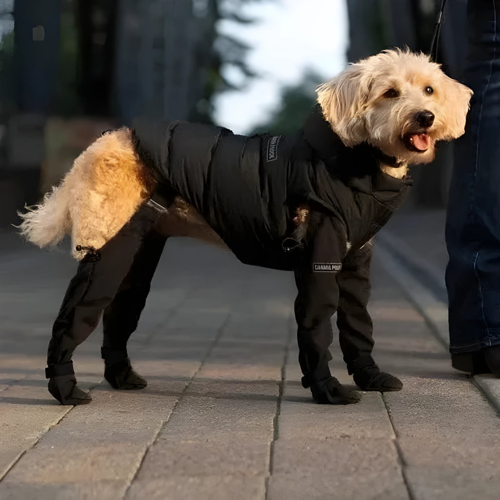 Waterproof non-slip dog shoes in black polyester material