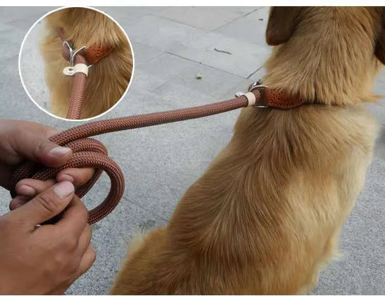 Brown nylon dog leash with metal P-chain section and rope handle measuring 2.1 metres