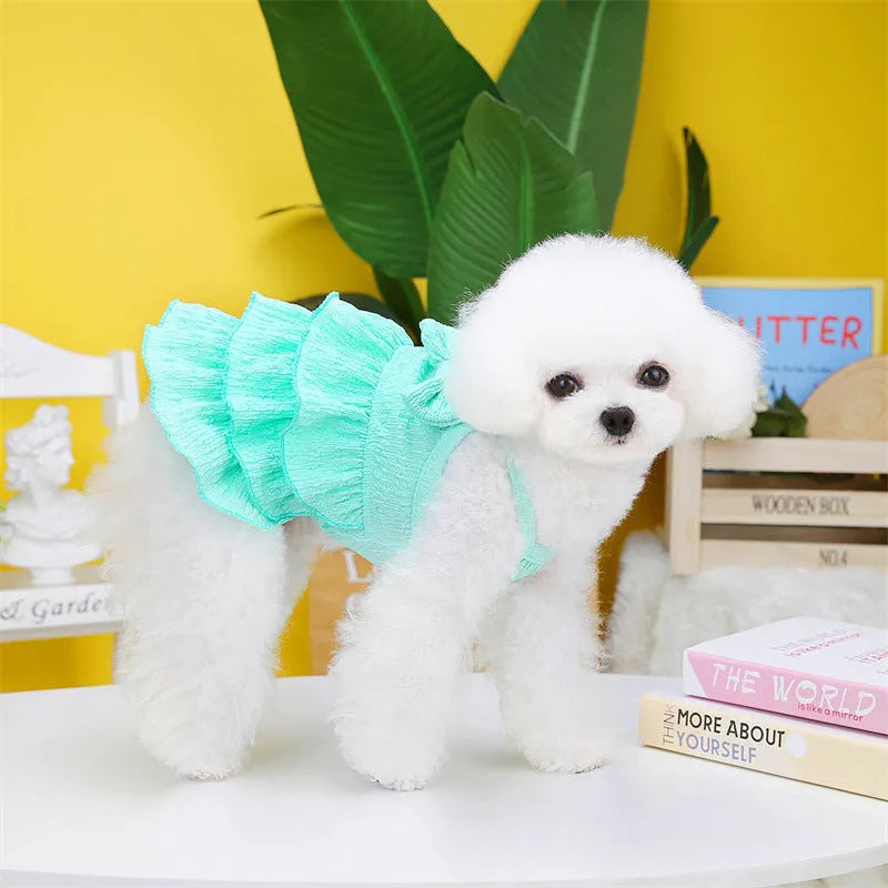 Small dog wearing princess dress with layered skirt in polyester fabric