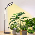 Pearl white 6-inch Angel Ring LED grow light on a retractable floor stand next to a houseplant.