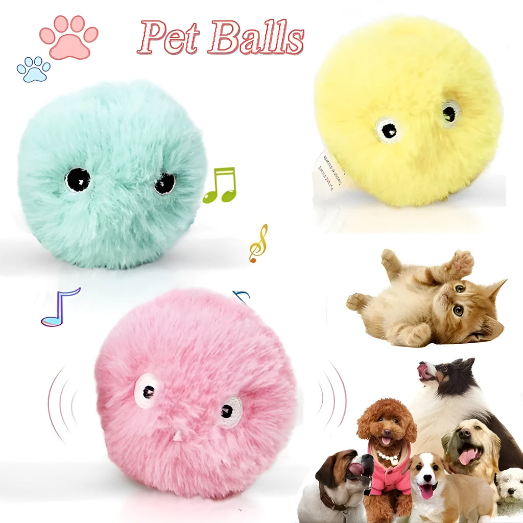 Interactive cat toy ball in blue, pink, and yellow colours with 55mm diameter for animal sound stimulation