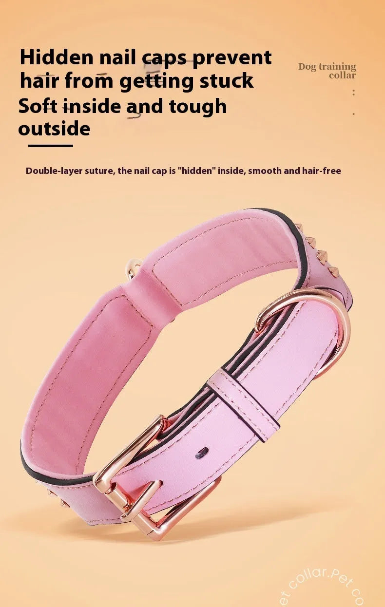 Leather dog collar with a line of stainless steel rivets, shown in black colour.
