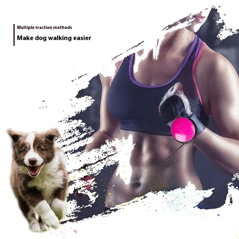 3 metre retractable dog leash in six colours with automatic braking system