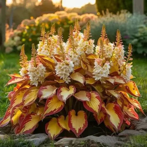 Pack of 50 coloured leaves jade barrettes flower seeds in clear OPP packaging.
