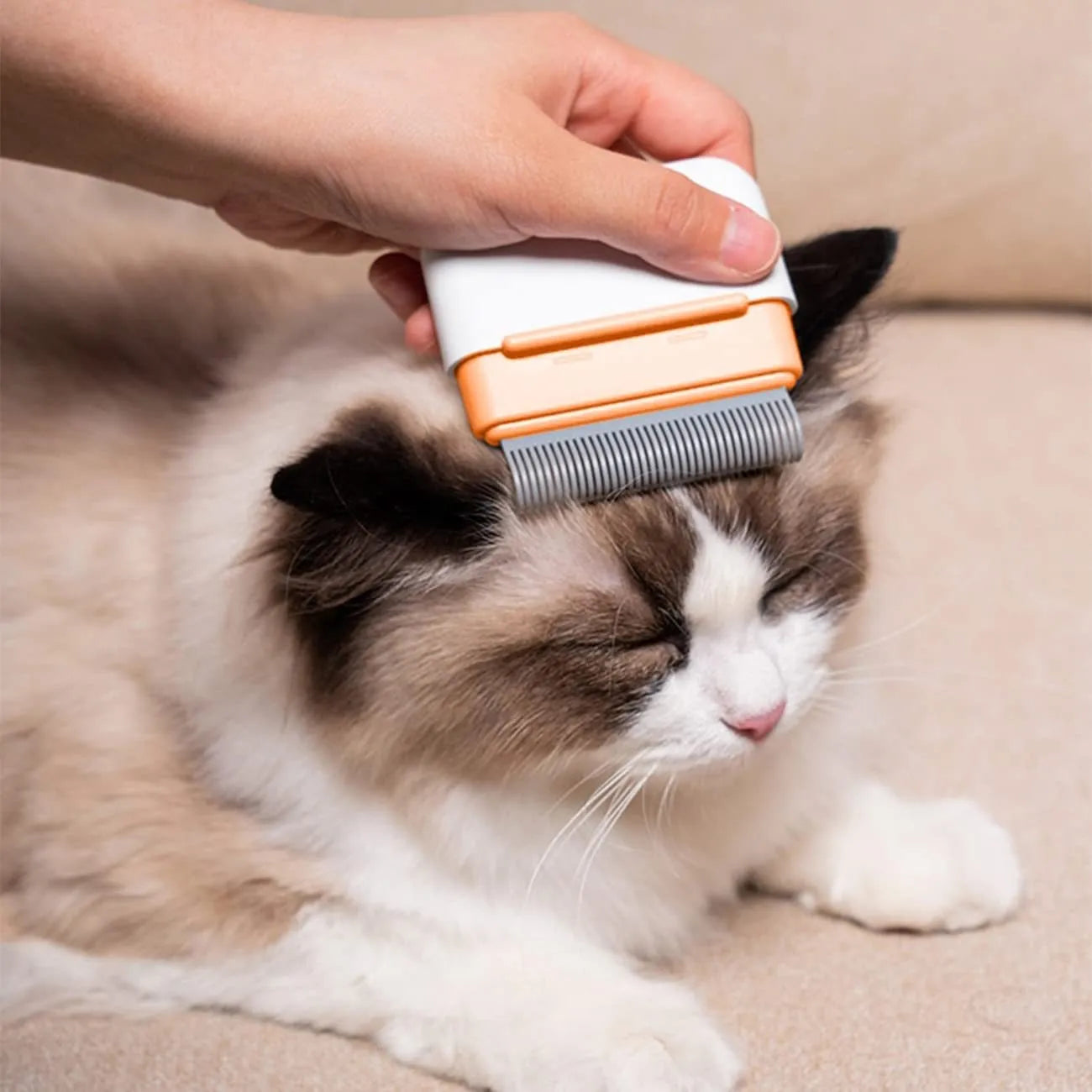 Blue double-sided pet grooming comb for deshedding cats and dogs