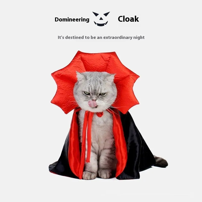 Black and red Halloween costume outfit for cat or dog with European American styling