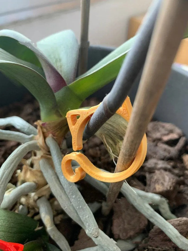 Cat-shaped plastic plant clip in garden with colourful options shown