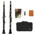 Black Bakelite beginner clarinet with nickel-plated 17-key mechanism and included carrying bag.