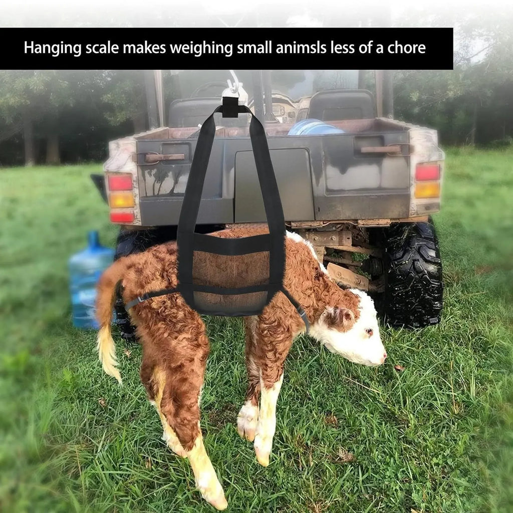 Black livestock weighing sling measuring 35 by 150 centimetres for calves and large dogs.