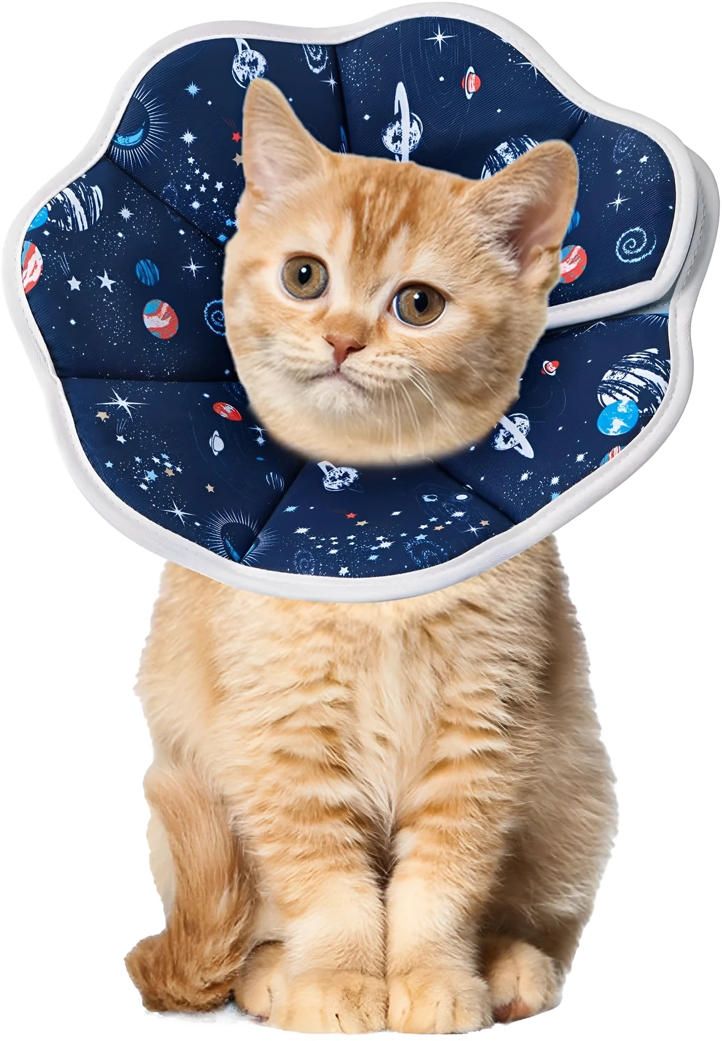 Soft adjustable cat recovery collar in constellation design for post-surgery protection