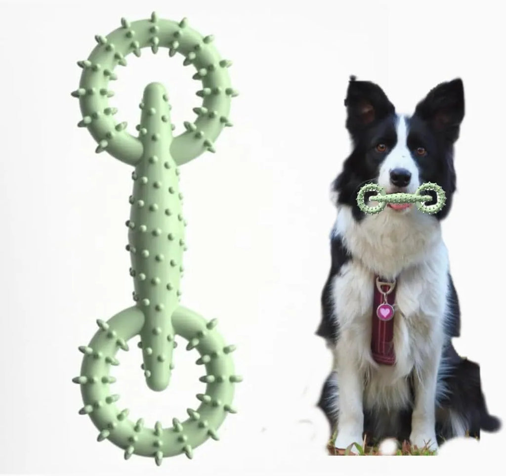 Blue TPR dog chew ring toy for puppies, 16cm diameter safe chewing toy