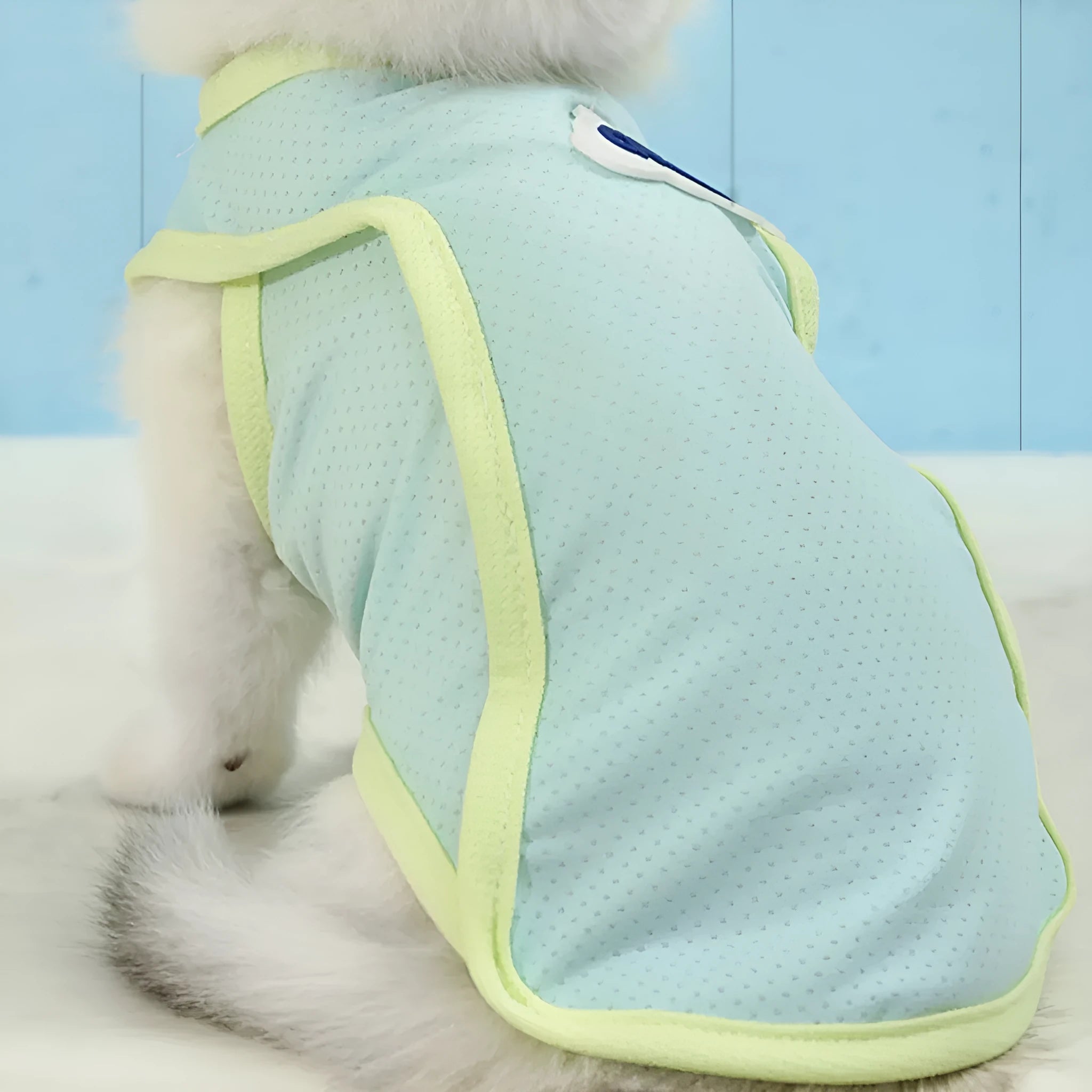 Lightweight polyester cat vest in sports style, available in grass green and taro purple colours