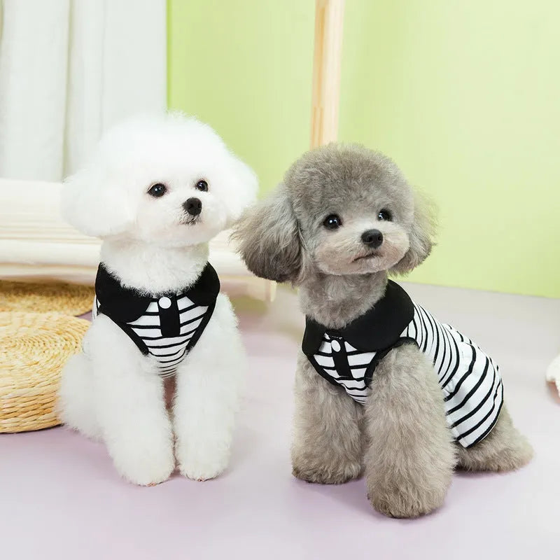 Pet wearing striped cotton t-shirt and matching skirt summer outfit