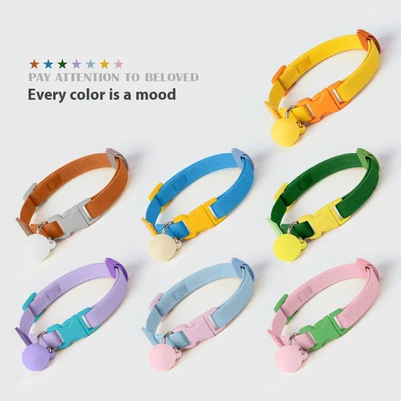 Small dog elastic decoration collar in seven colour options with monochrome pattern