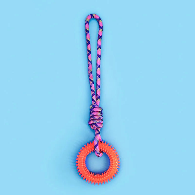 Braided rope dog toy with knot design in blue colour, 43 cm long chew toy for puppies