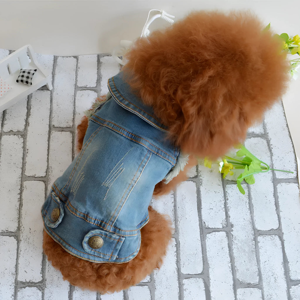 Denim dog vest with retro scratch pattern for small breed pet in dark wash colour