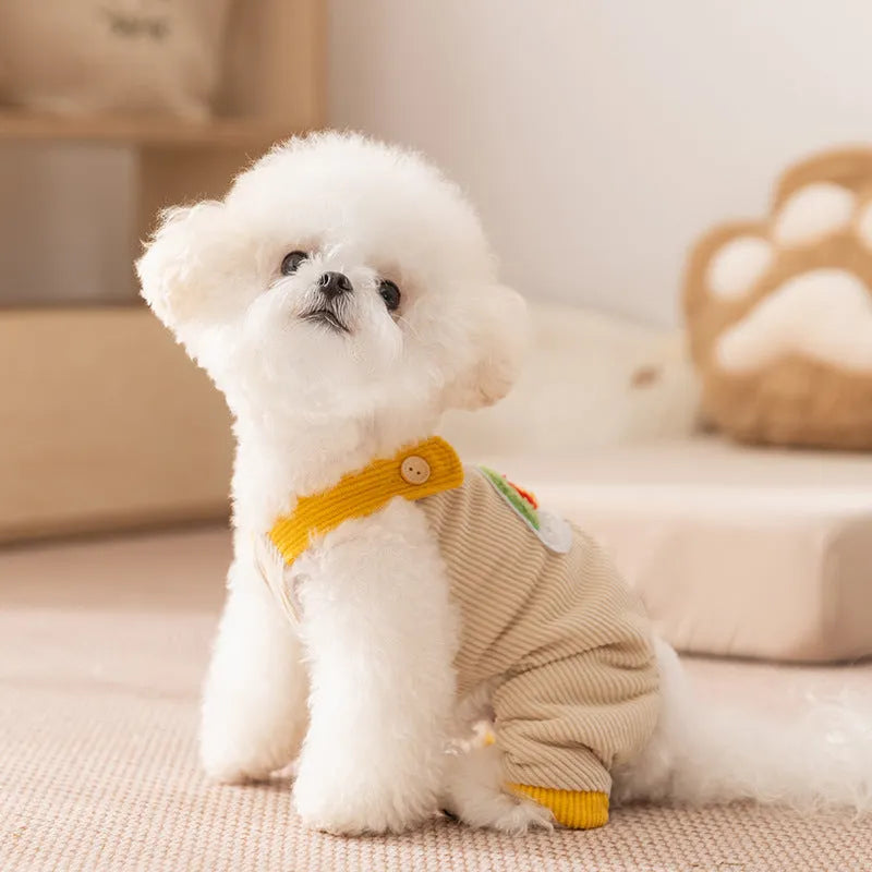 Dog jumpsuit in corduroy fabric with rainbow print, beige and brown options, for small dogs autumn winter