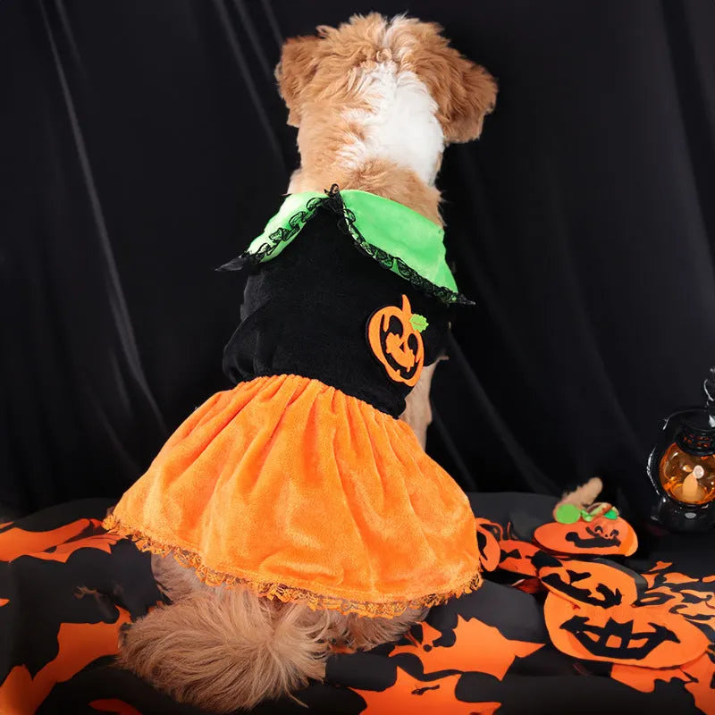 Crystal velvet pet costume with Halloween pumpkin skirt design for dogs and cats in various sizes