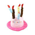 Blue and pink small dog birthday hats for toy breeds on a white background.