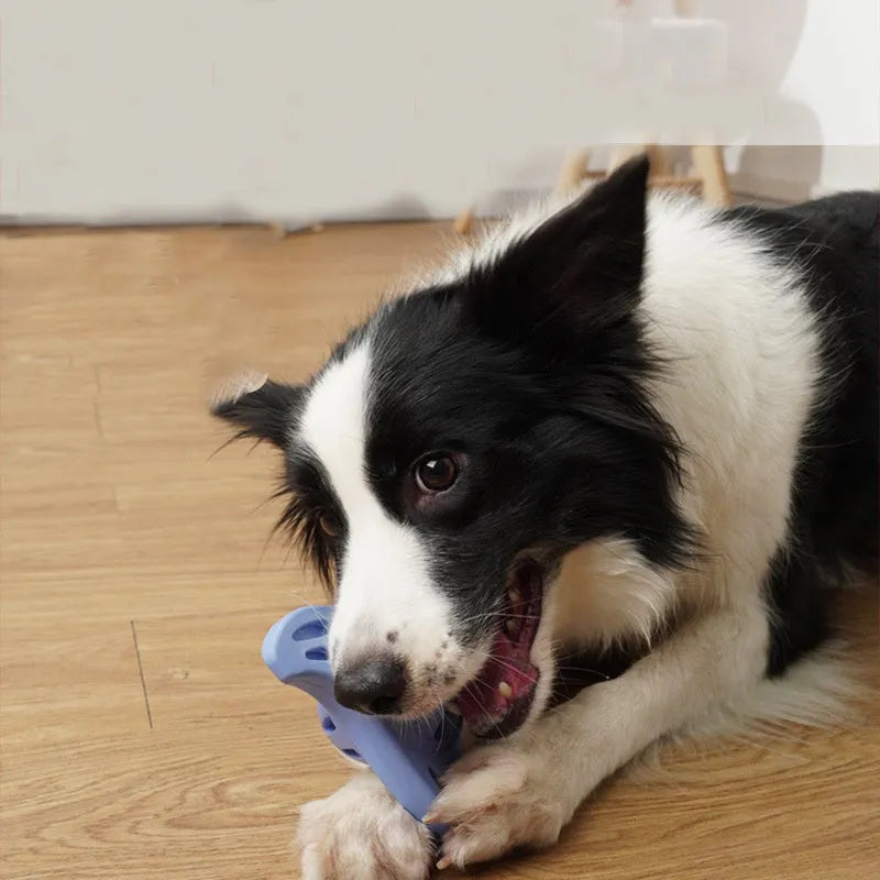 Blue boomerang shaped dog toy with molar texture for medium to large breed puppies
