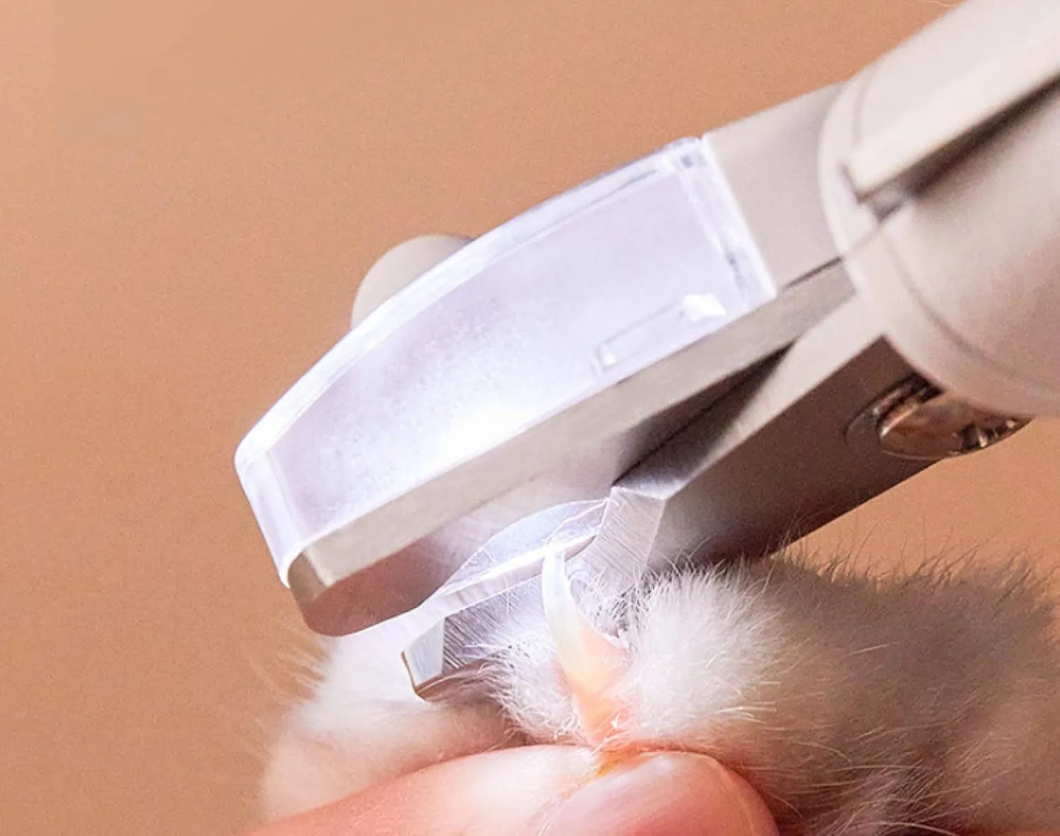 White pet nail clippers with LED light, transparent anti-splash baffle, and a nail file.