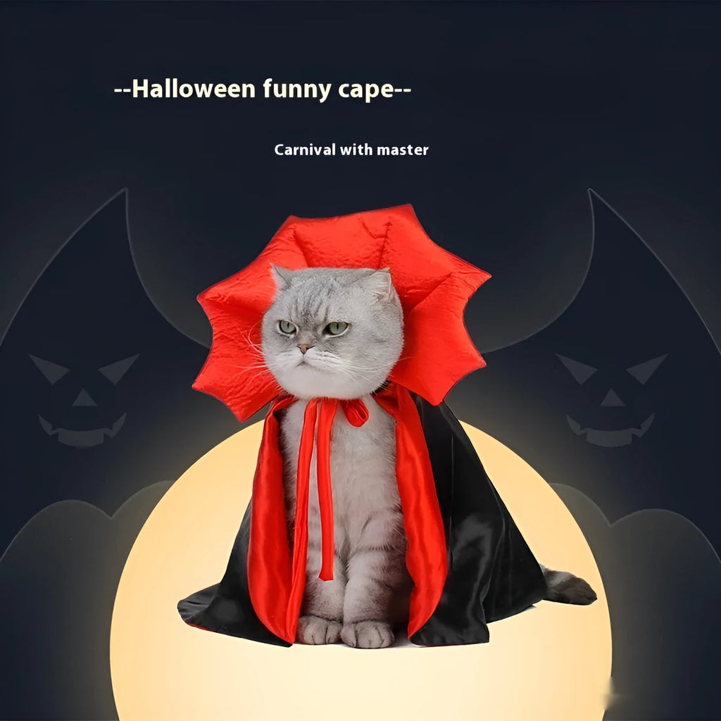 Black and red Halloween costume outfit for cat or dog with European American styling