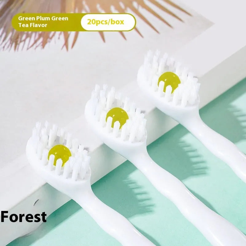 Box containing 20 disposable bead toothbrushes for travel and portable oral hygiene