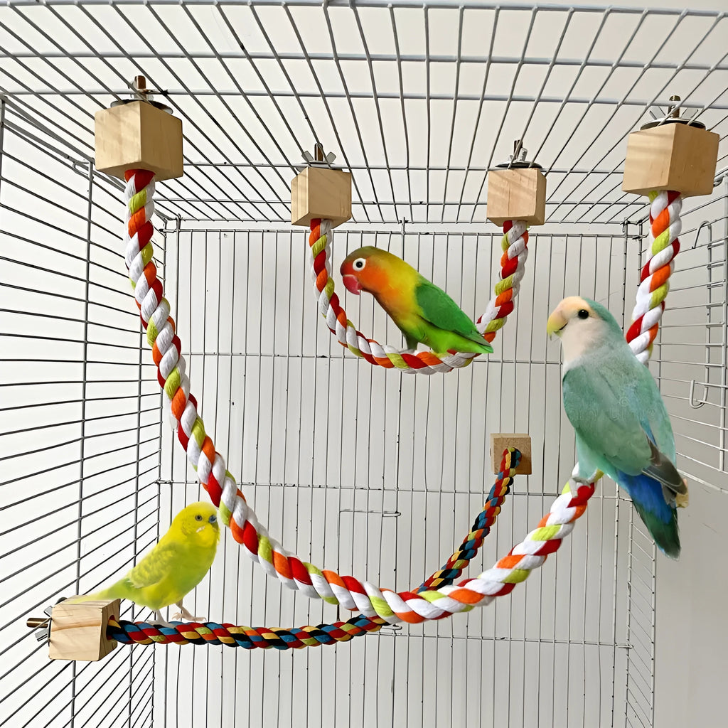Parrot climbing rope toy with swing rings in wooden material on white background