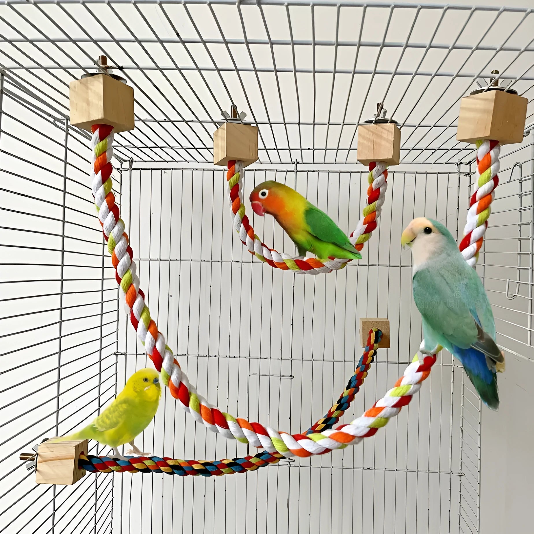 Parrot climbing rope toy with swing rings in wooden material on white background