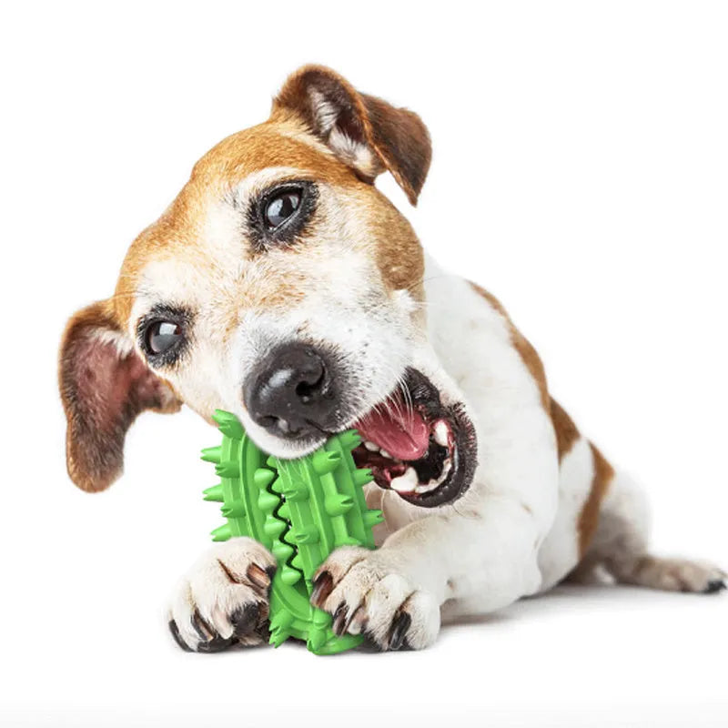 Green cactus-shaped dog chew toy with textured bumps and a central channel for dental care.