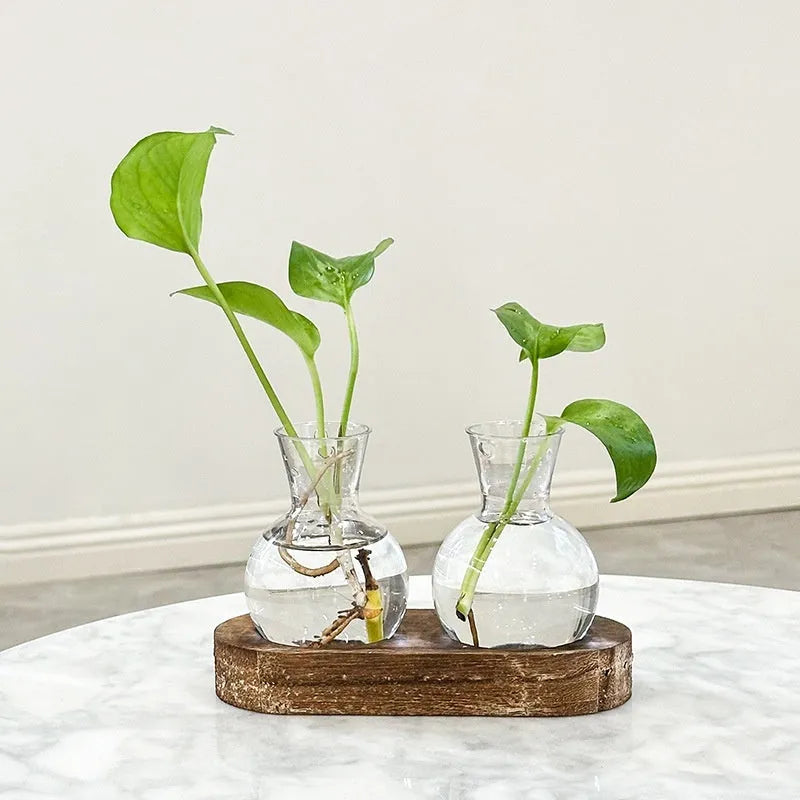 Wooden frame transparent hydroponic vase set with multiple PET glass containers in modern simplicity design