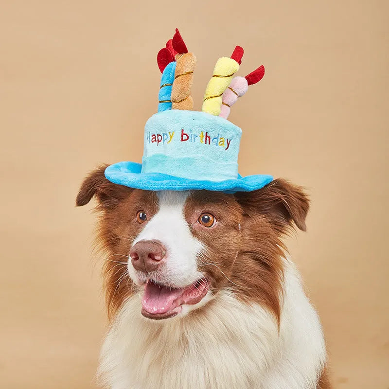 Blue and pink small dog birthday hats for toy breeds on a white background.