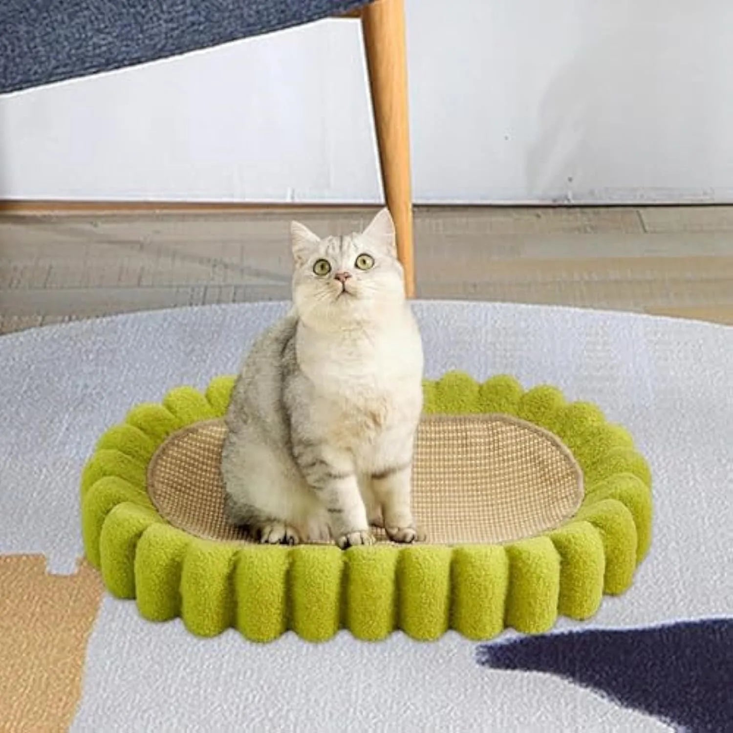Green oval cardboard cat scratching pad with sisal surface, serving as a cat bed.